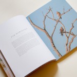 Lodestars Anthology Australia