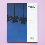aesthetic/theories magazine