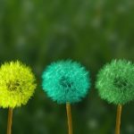 This Is The Perfect Year To Do Something Bold