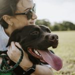 What dog owners need to consider when booking a holiday