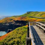 Things to Do on Phillip Island on Your Next Holiday