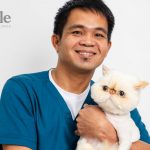 Cat Lifespan: How Long Do Cats Live & Factors Affecting It